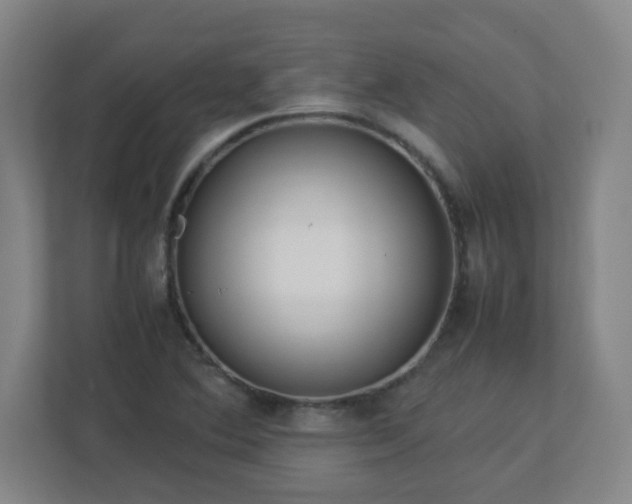X0000113041364200909031303