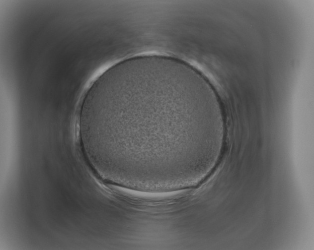 X0000113041367200909031303