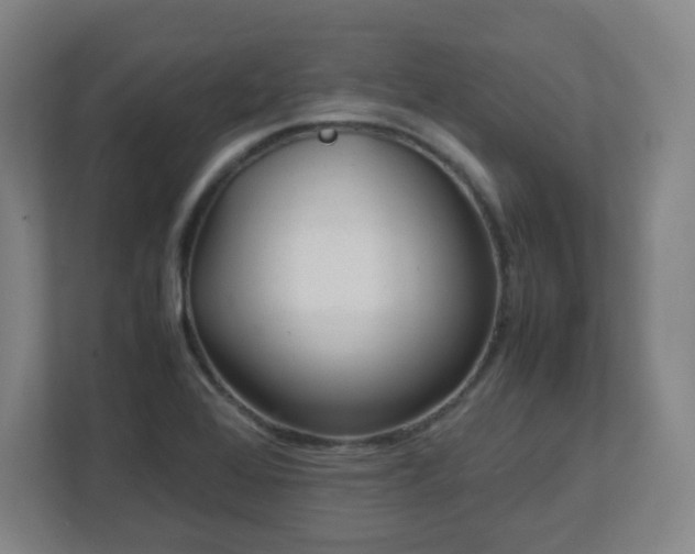 X0000113041368200909031303