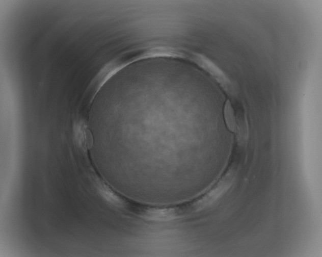 X0000113041369200909031303