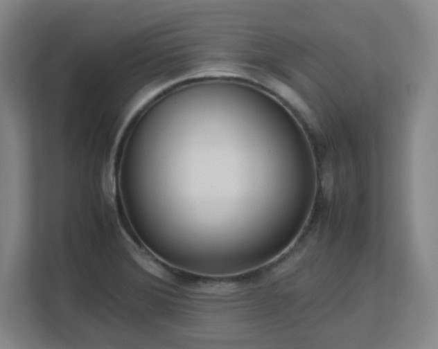 X0000113041372200909031303