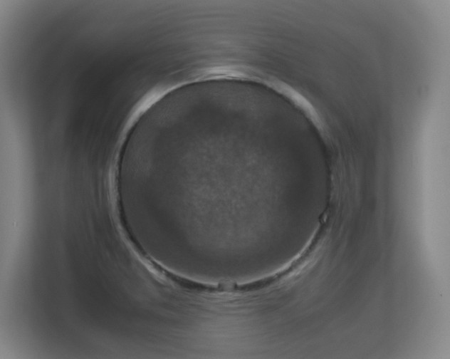 X0000113041373200909031303