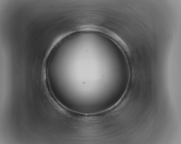 X0000113041376200909031303