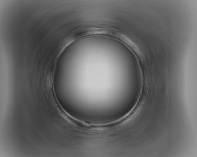 X0000113041377200909031303