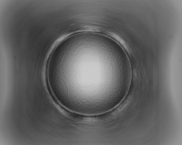 X0000113041379200909031303