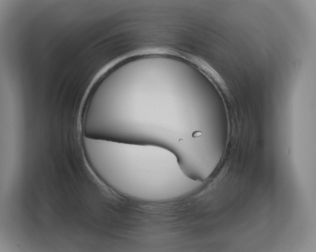 X0000113041380200909031303