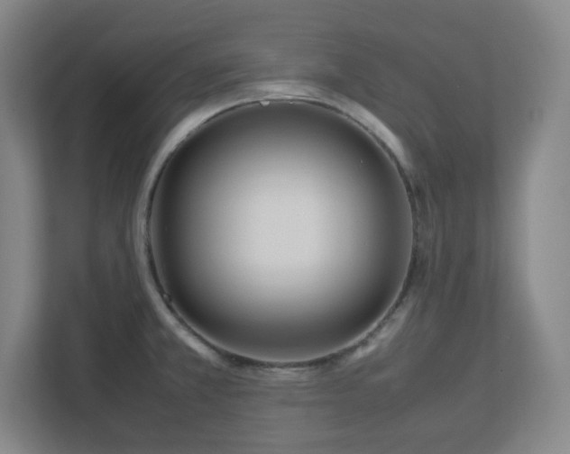 X0000113041381200909031303