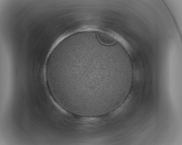 X0000113041382200909031303