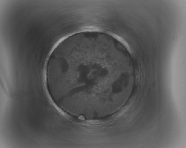 X0000113041383200909031303