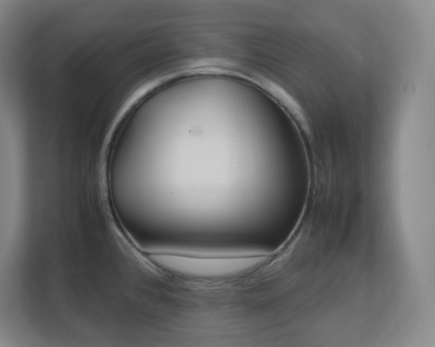 X0000113041384200909031303