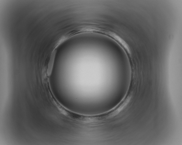 X0000113041385200909031303