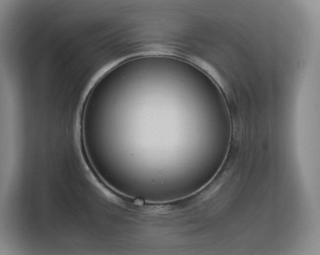 X0000113041387200909031303