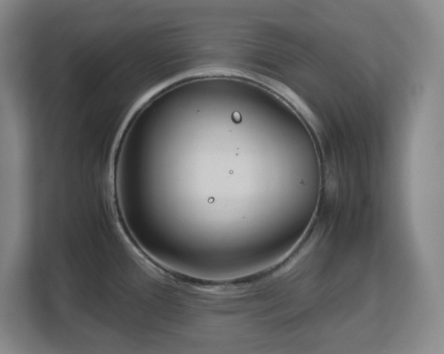 X0000113041388200909031303