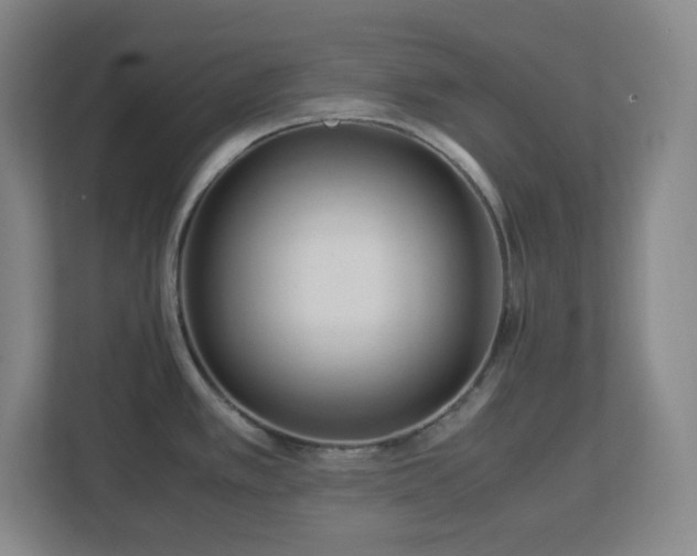 X0000113041389200909031303