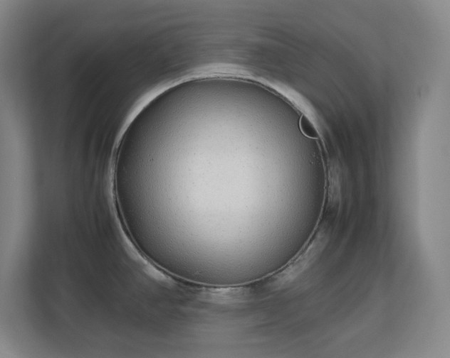 X0000113041390200909031303
