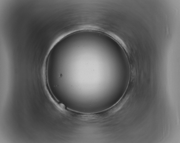X0000113041391200909031303