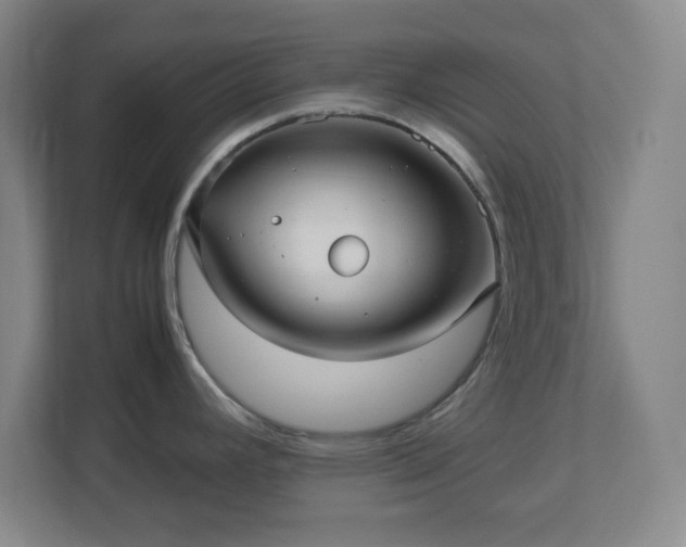 X0000113041392200909031303