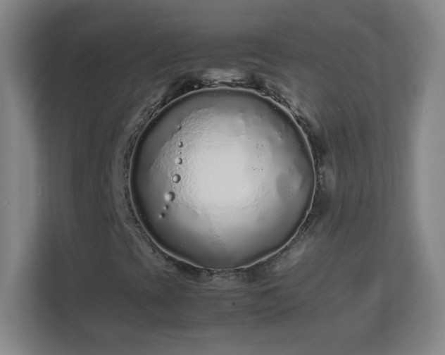 X0000113041393200909031302