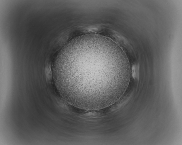 X0000113041395200909031302