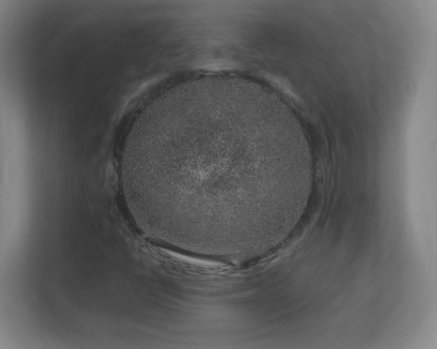 X0000113041398200909031302