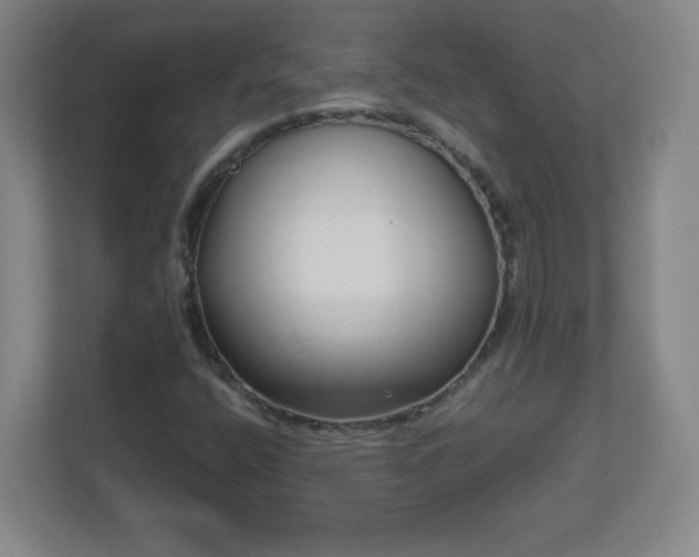 X0000113041400200909031302