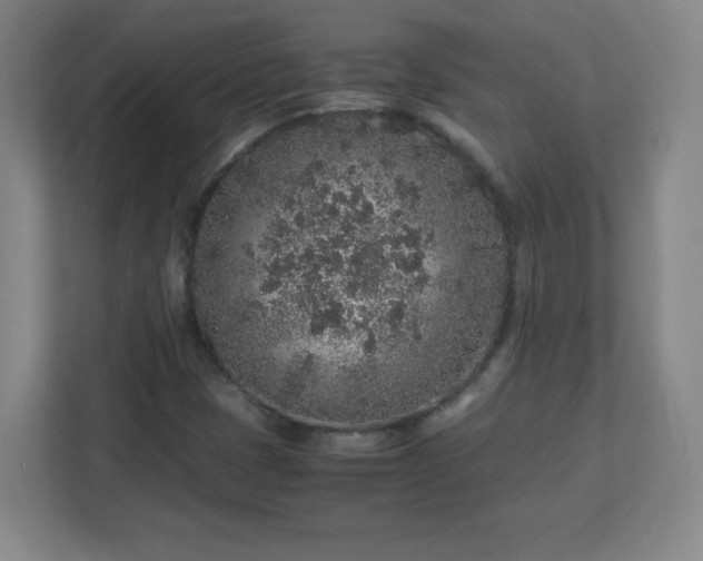 X0000113041401200909031302