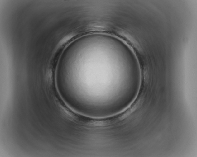 X0000113041402200909031302