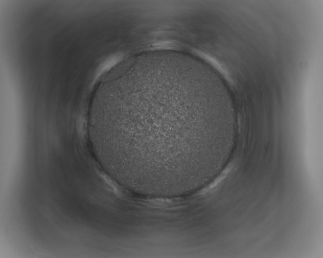 X0000113041405200909031302