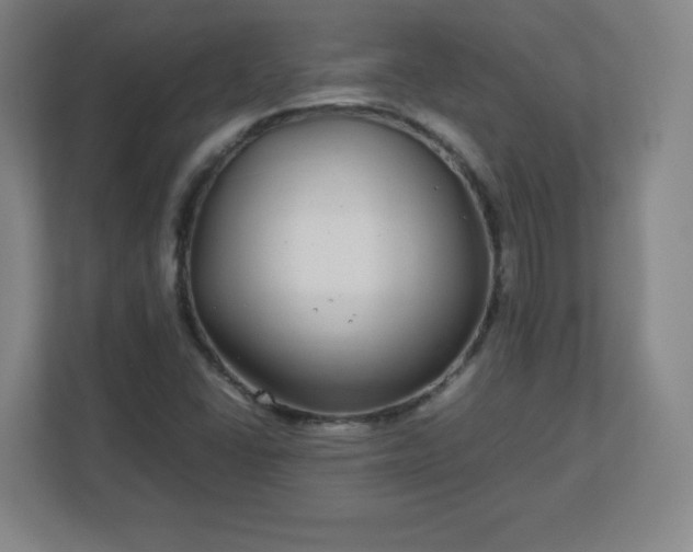 X0000113041406200909031302