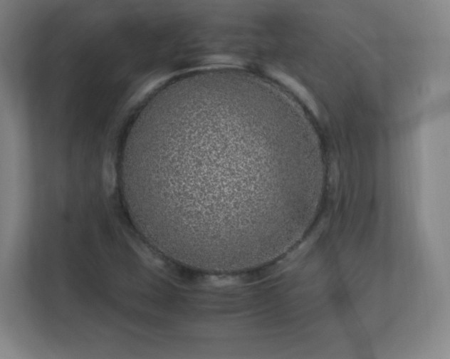 X0000113041407200909031302