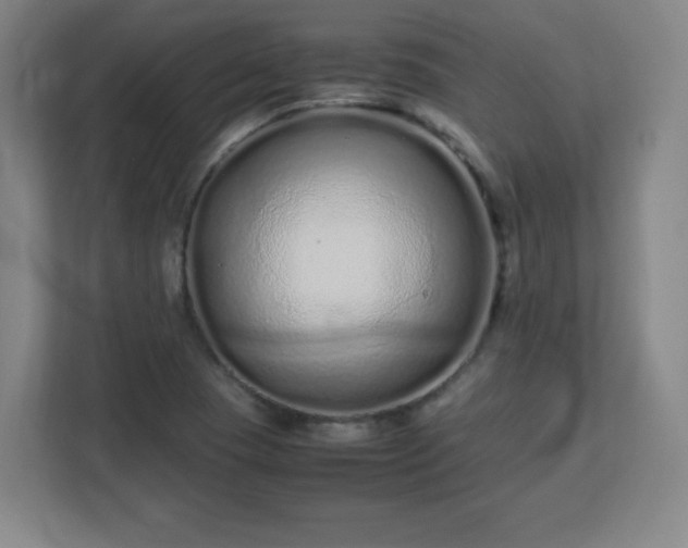 X0000113041409200909031302
