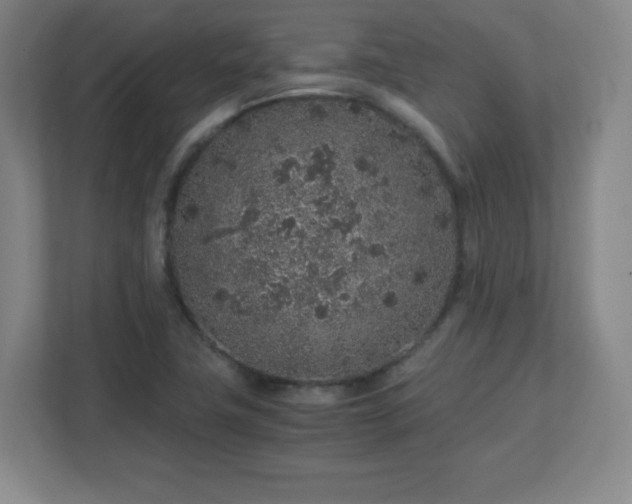 X0000113041411200909031303