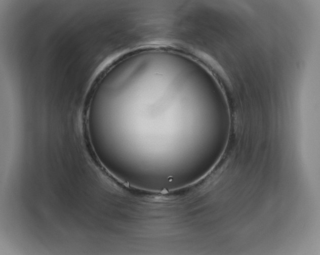 X0000113041412200909031303