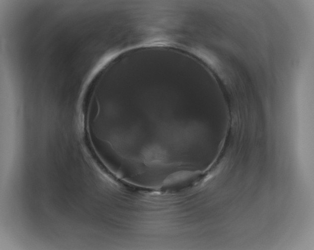 X0000113041414200909031303