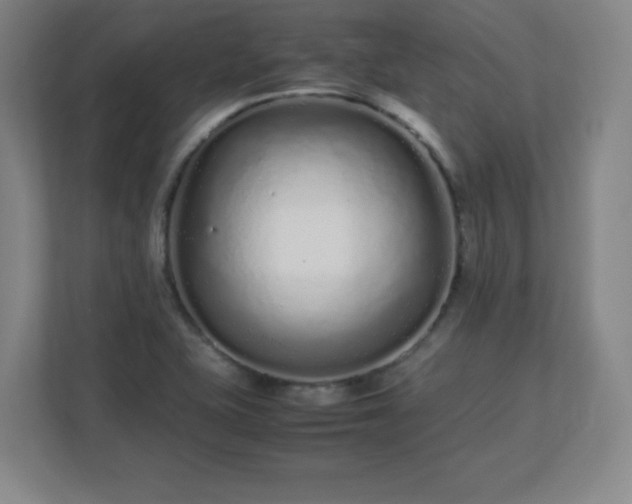 X0000113041415200909031303