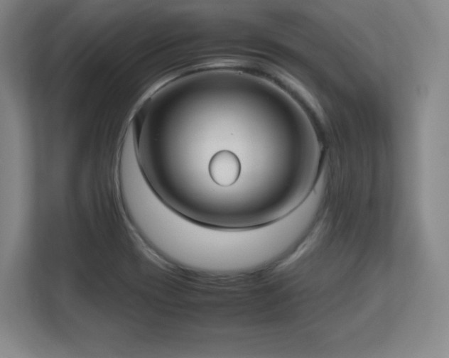 X0000113041417200909031303