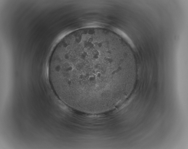 X0000113041419200909031303