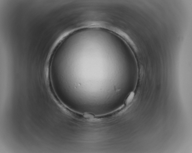 X0000113041424200909031303