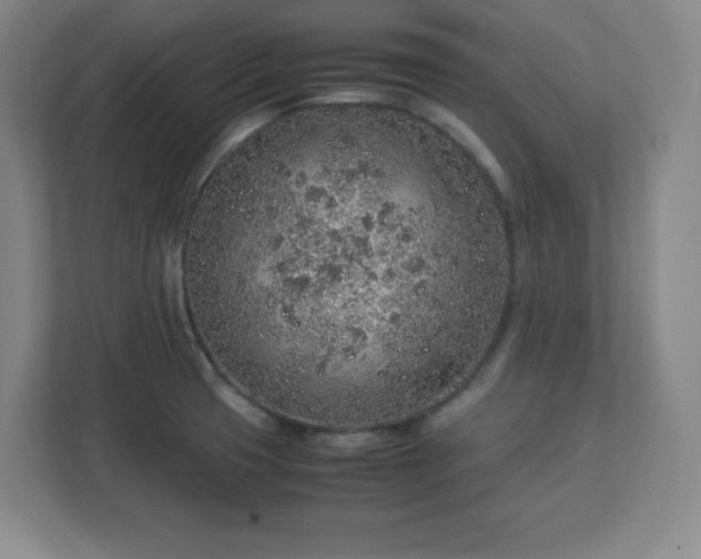 X0000113041425200909031303