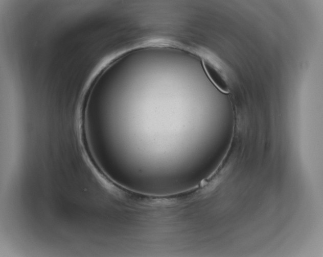 X0000113041430200909031303