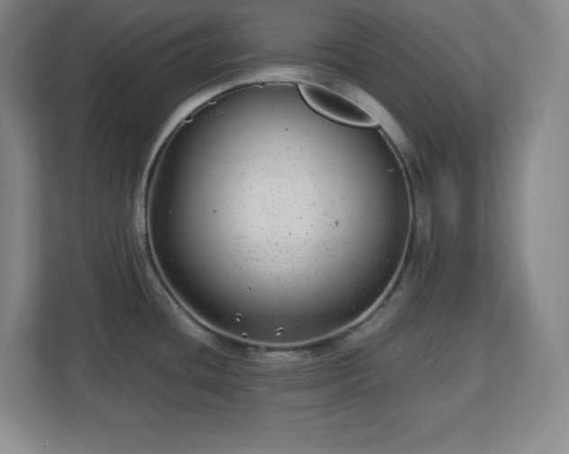 X0000113041436200909031303