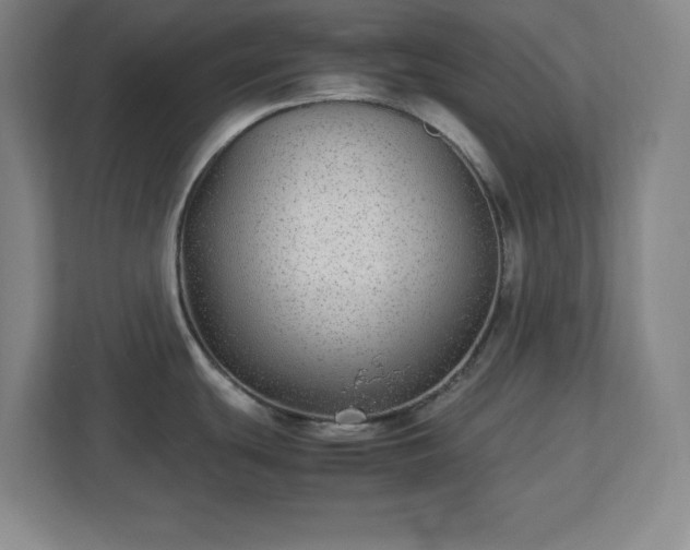 X0000113041439200909031303