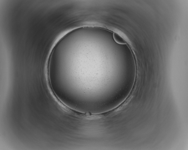X0000113041440200909031303