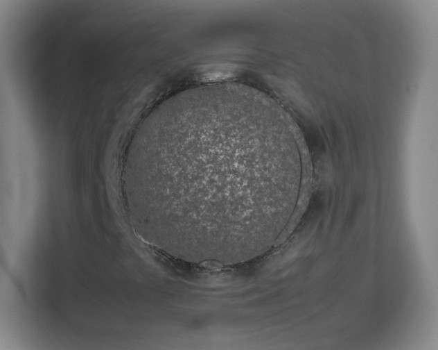 X0000113041441200909031302