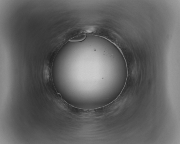 X0000113041442200909031302