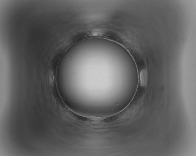 X0000113041443200909031302
