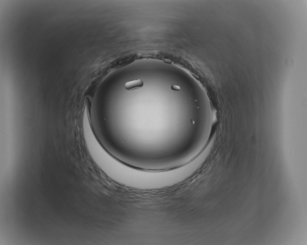 X0000113041445200909031302