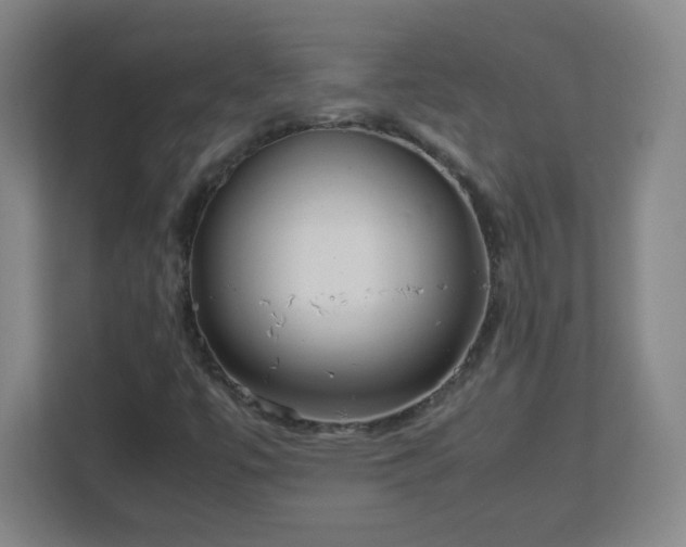 X0000113041447200909031302