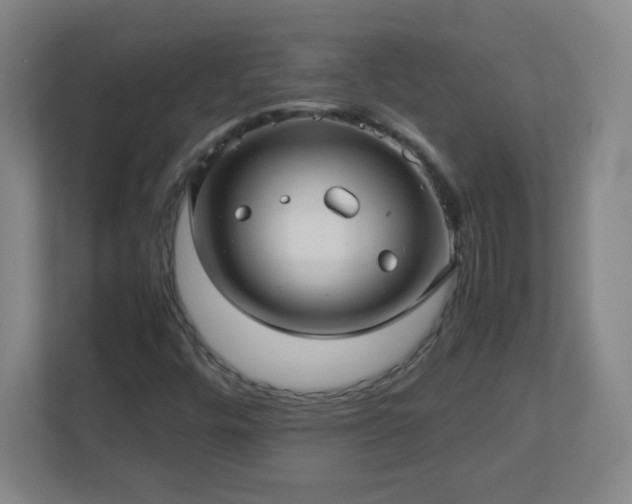 X0000113041448200909031302