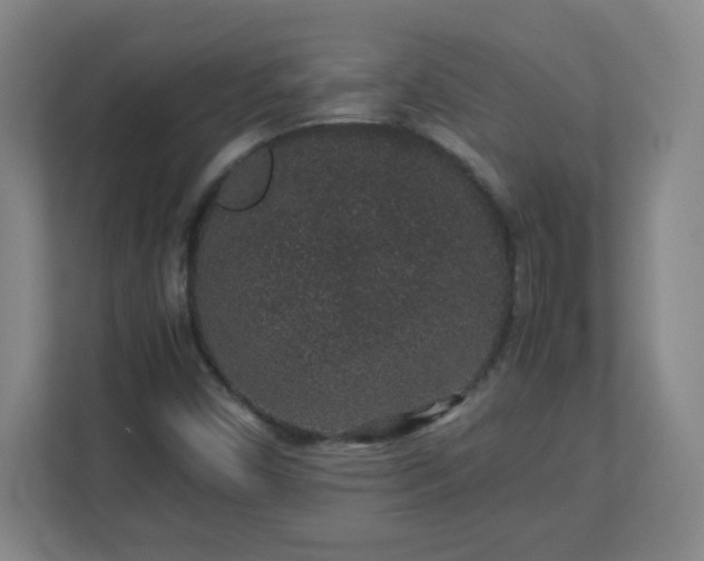 X0000113041450200909031302